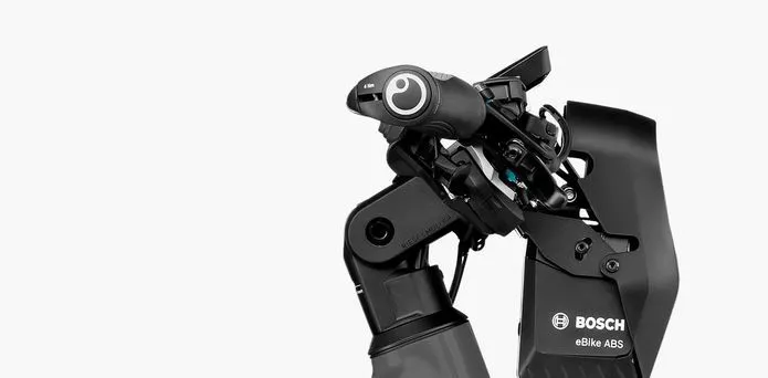 Riese & Müller Delite GT Touring 8 Riese & Müller Delite GT Touring - Billede 6