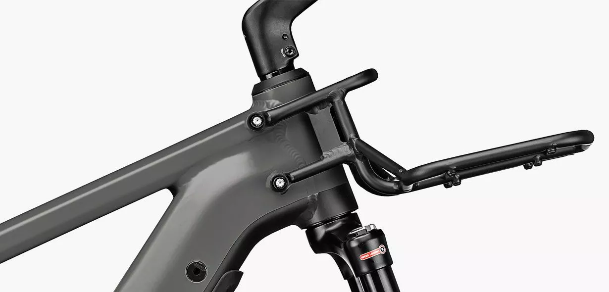 Riese & Müller Delite GT Touring 10 Riese & Müller Delite GT Touring - Billede 8