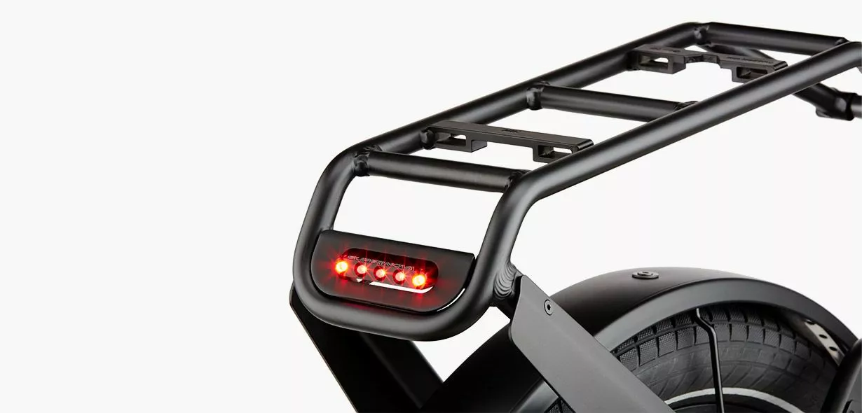 Riese & Müller Delite GT Touring 12 Riese & Müller Delite GT Touring - Billede 10