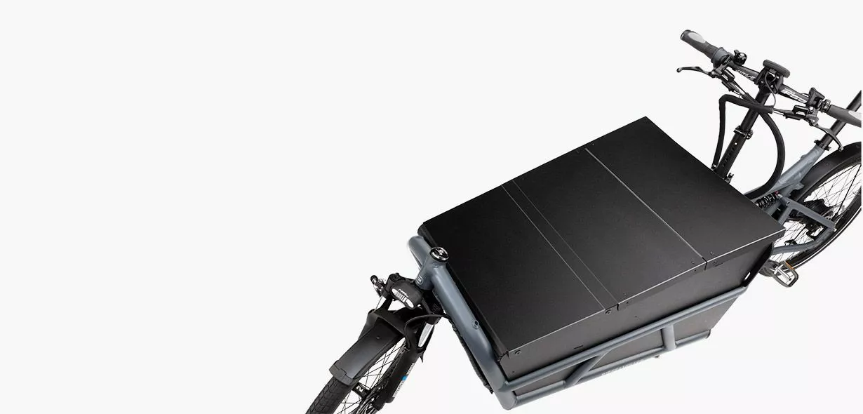 Riese & Müller Load 75 Rohloff HS 10 Riese & Müller Load 75 Rohloff HS - Billede 8