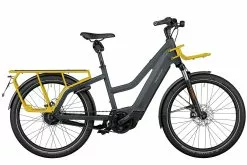 Riese & Müller Multicharger Mixte GT Vario HS