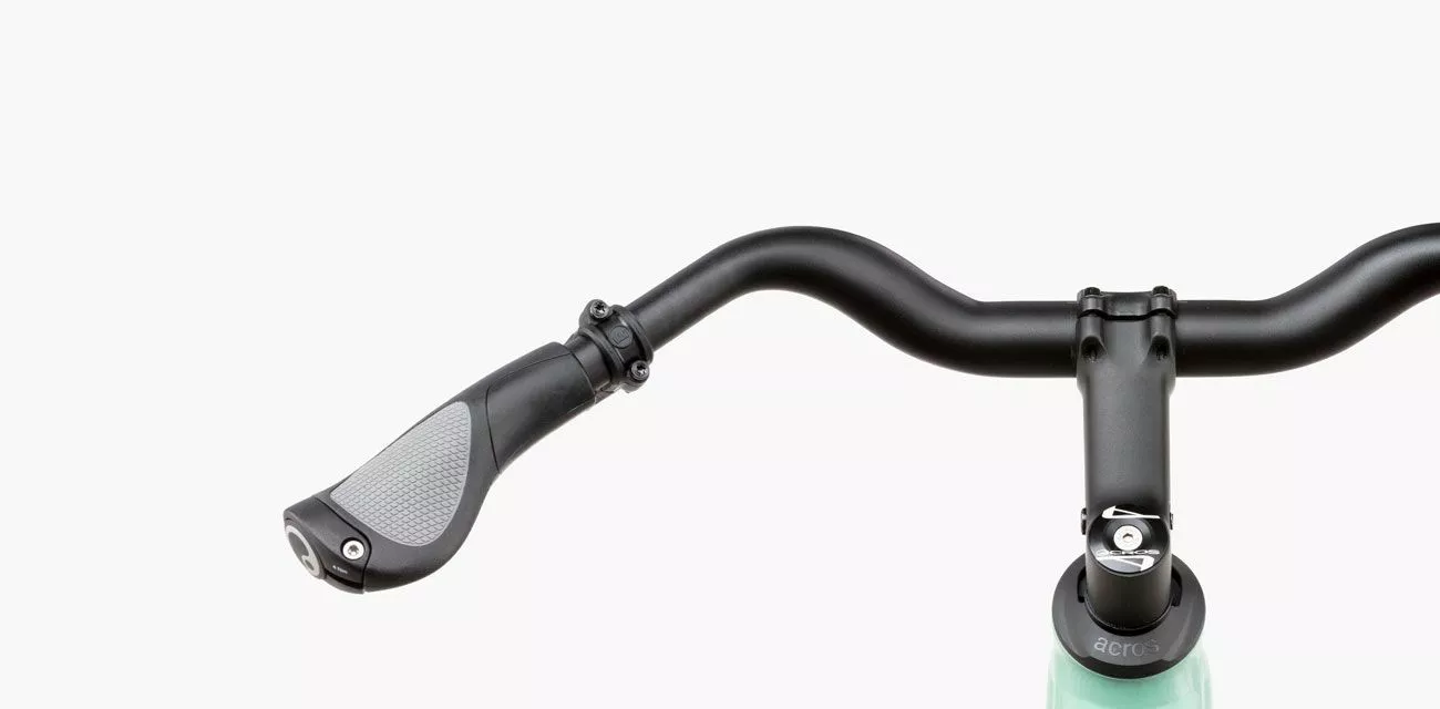 Riese & Müller Roadster Vario HS 5 Riese & Müller Roadster Vario HS - Billede 3