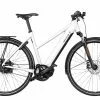 Riese & Müller Roadster Mixte Vario HS