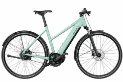 Riese & Müller Roadster Mixte Vario