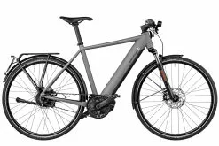 Riese & Müller Roadster Vario HS