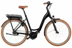 Riese & Müller Swing City