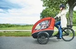 Winther Kangaroo Lite El Ladcykel (Alfine / Centermotor) -Elcykel Butik winther kangaroo lite sideview woman 2019 v153